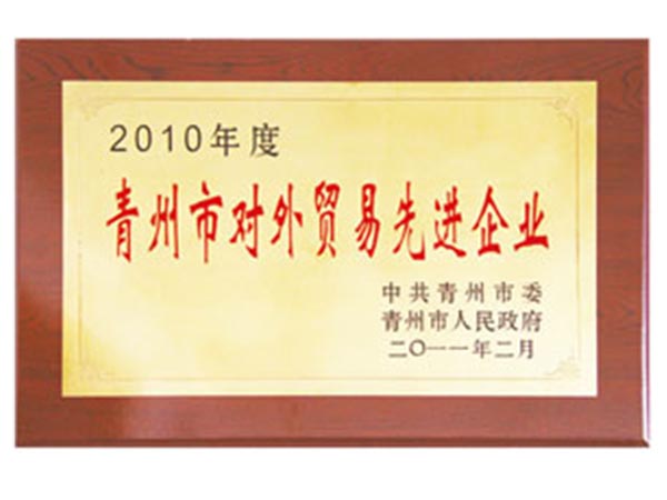 2010年度青州市對外貿易先進企業(yè).jpg